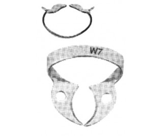 Rubber Dam Clamps